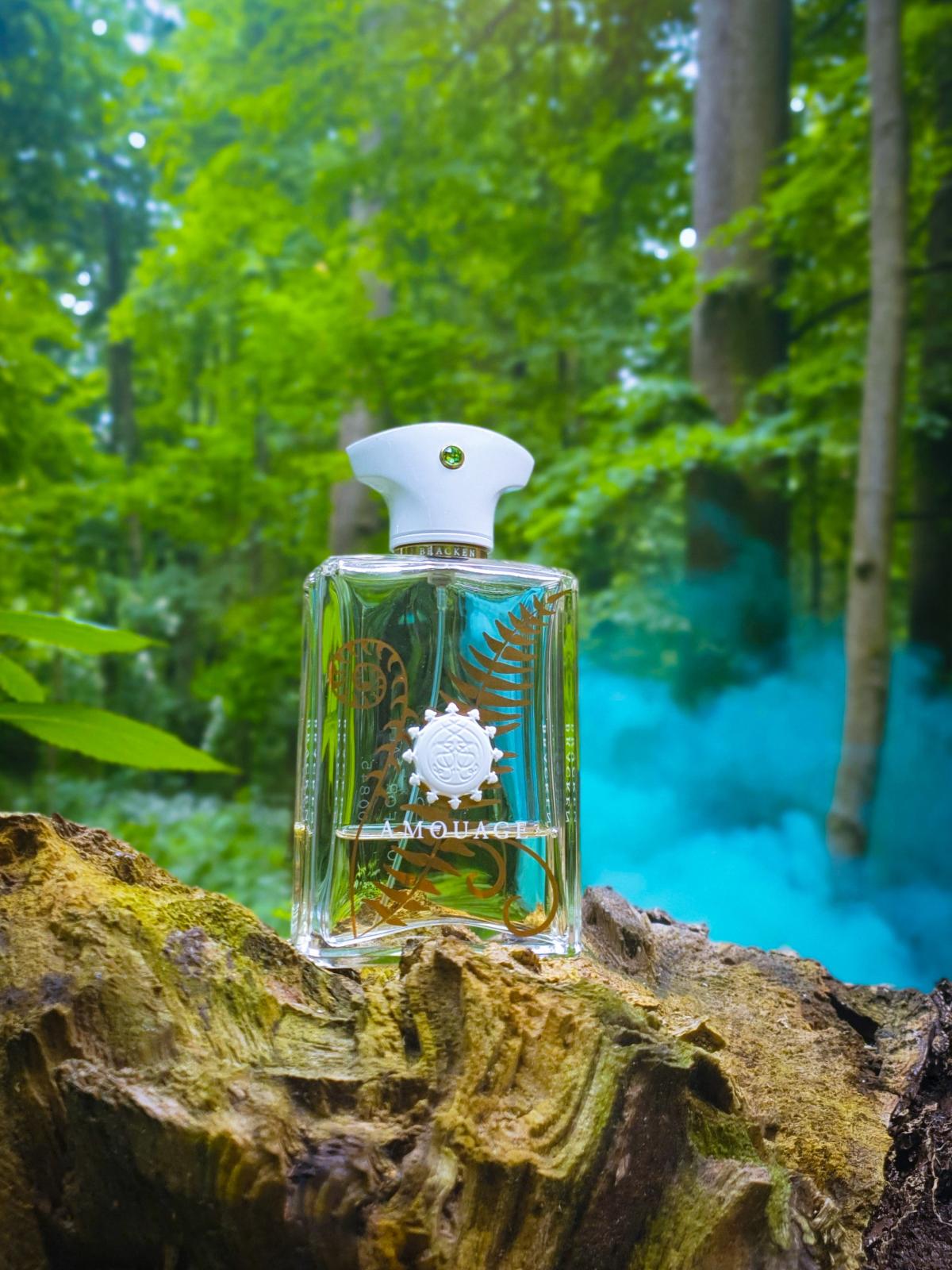 Bracken Man Amouage Colonia - una fragancia para Hombres 2016