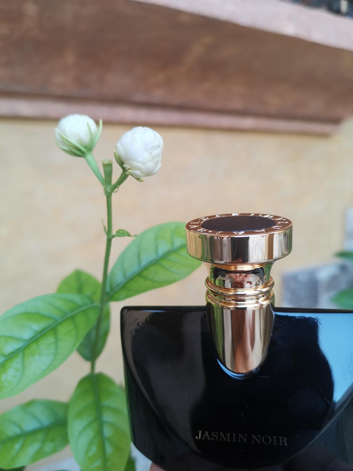Jasmin Noir Bvlgari perfume - a fragrance for women 2008