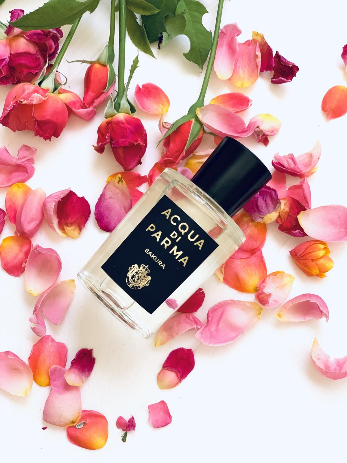 sakura eau de parfum