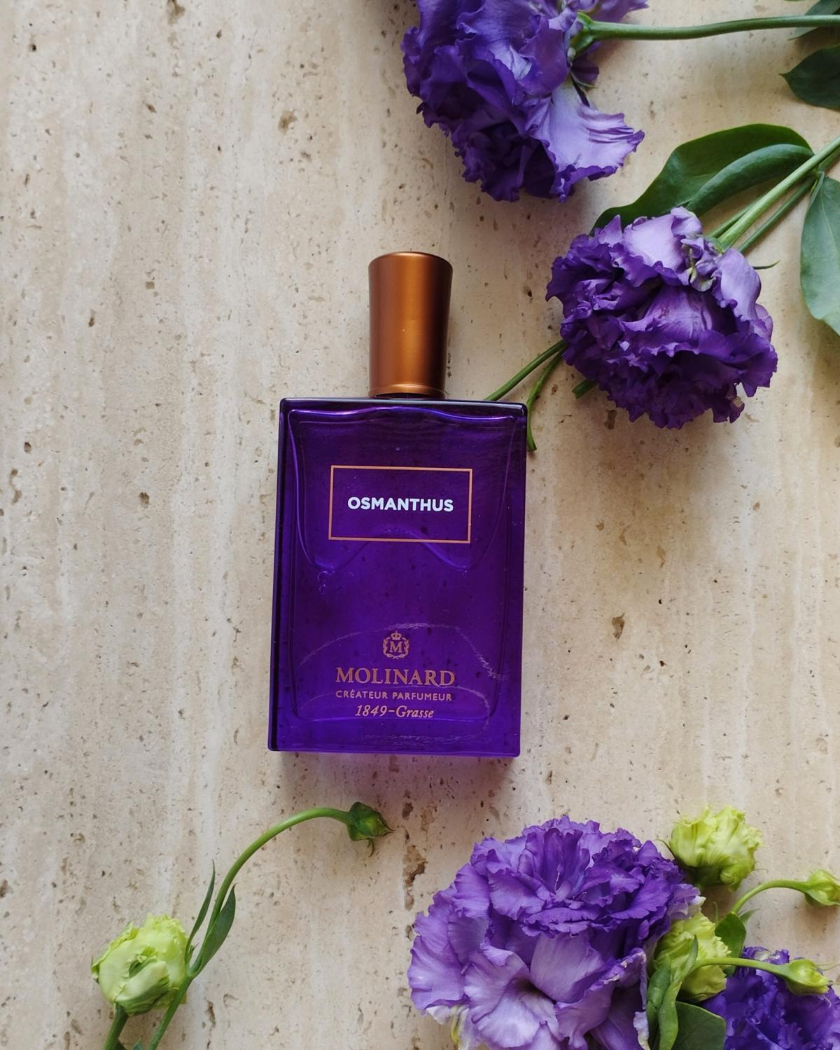 Osmanthus Eau de Parfum Molinard perfume - a fragrance for women and ...