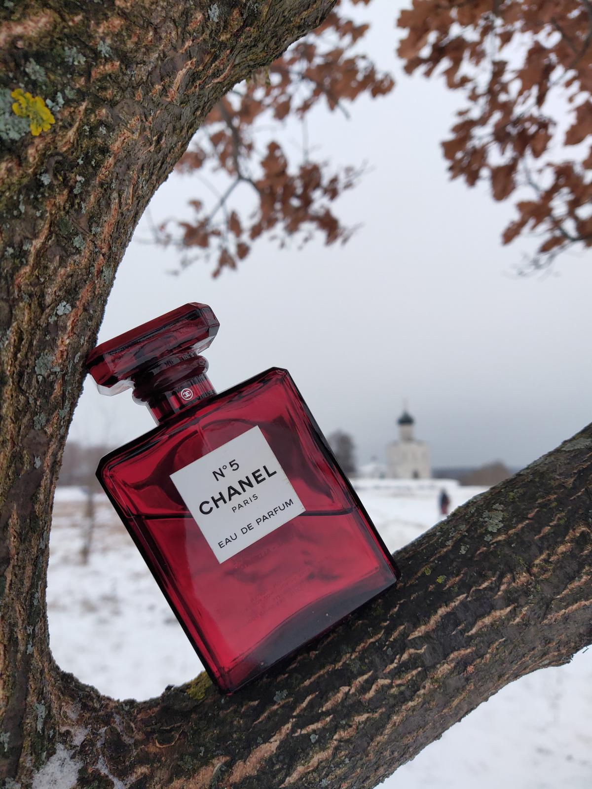 chanel no 5 eau de parfum red edition