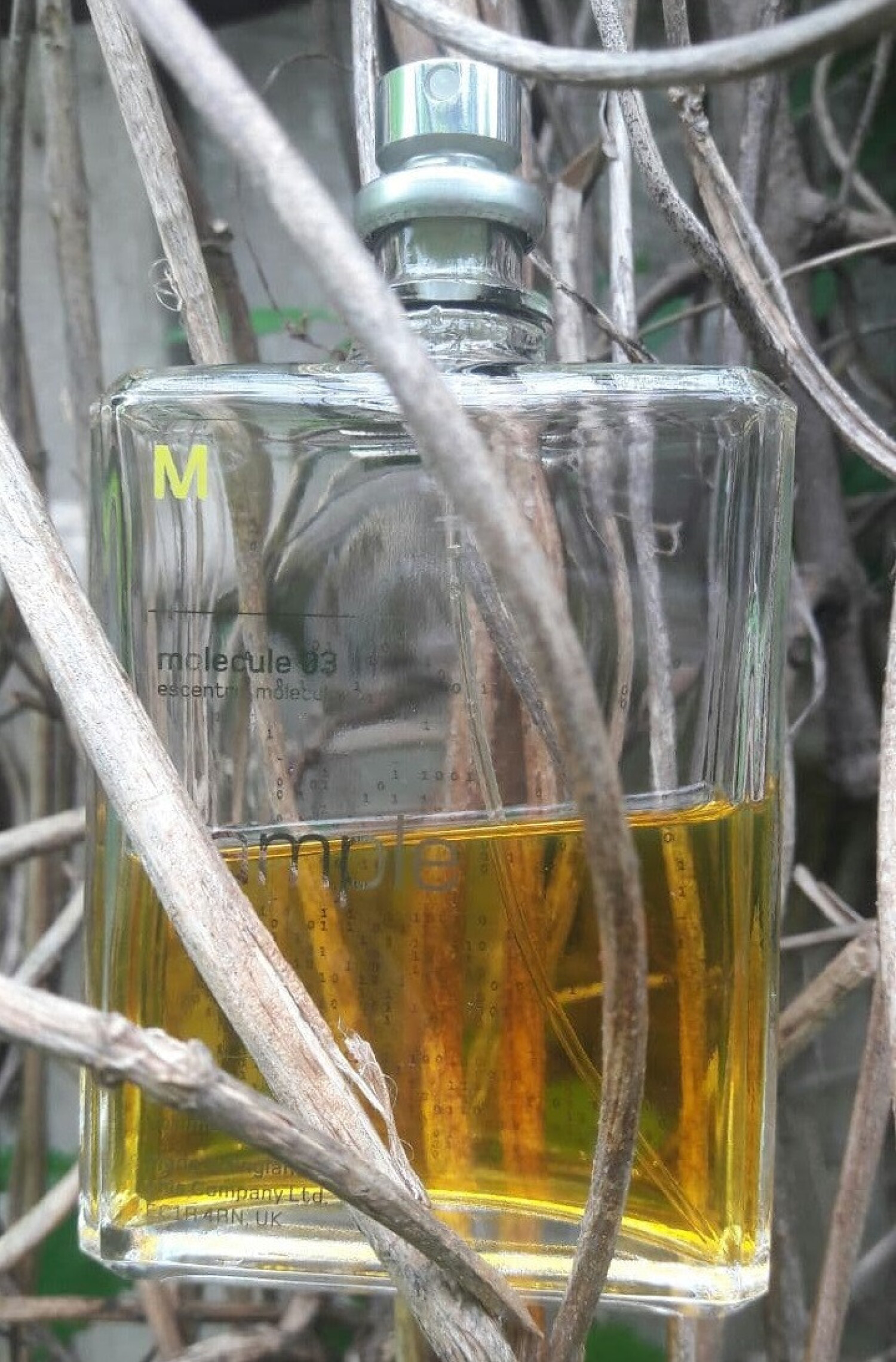 'Molecule 03' perfume 100 ml Perfumes