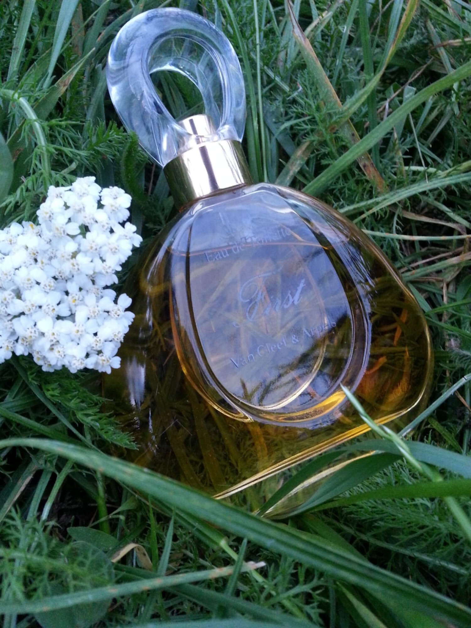 First Fragrance First Van Cleef & Arpels perfume - a fragrance for women 1976
