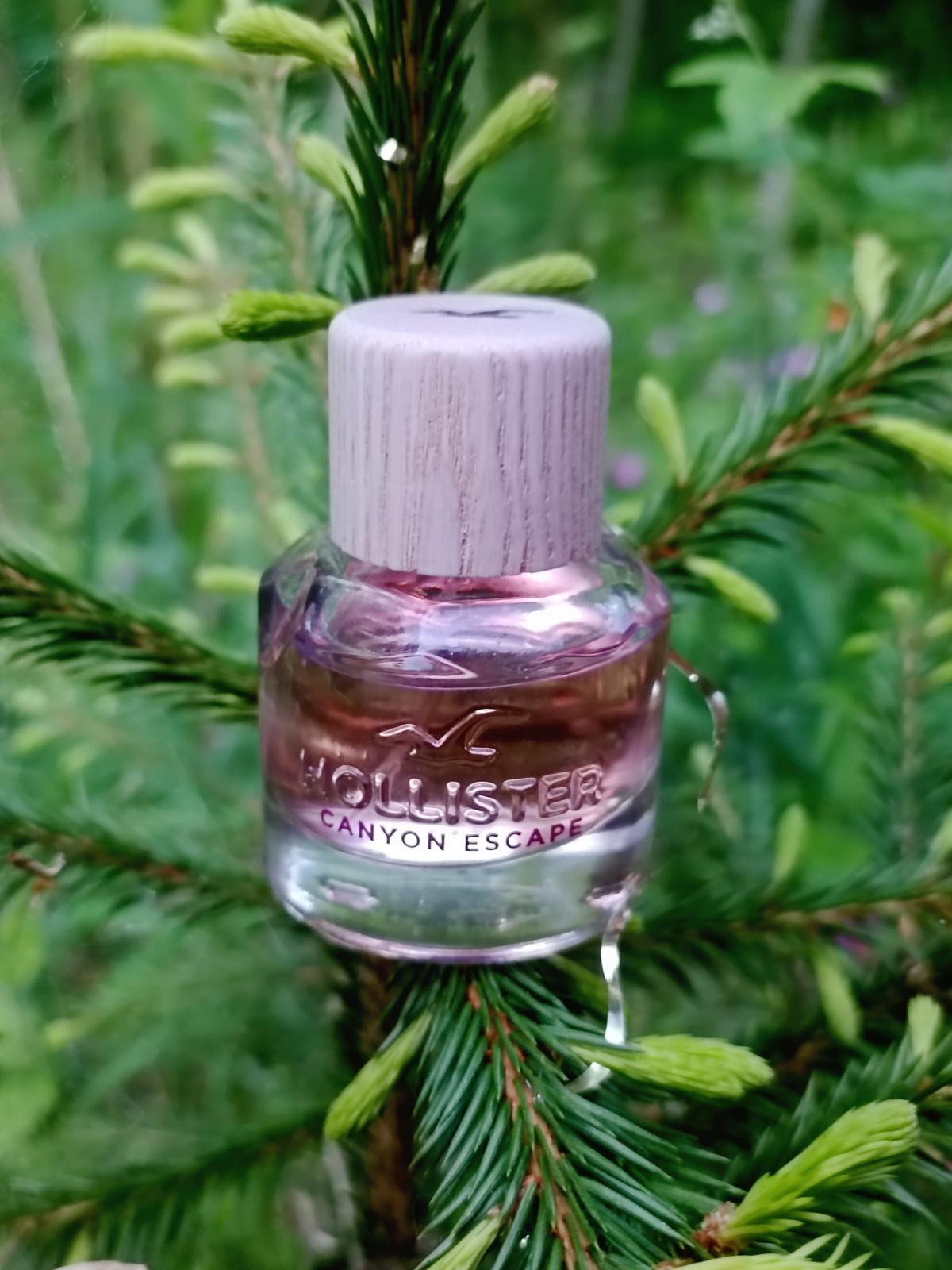 Hollister Canyon Escape Woman Hollister perfume - a fragrance for women ...
