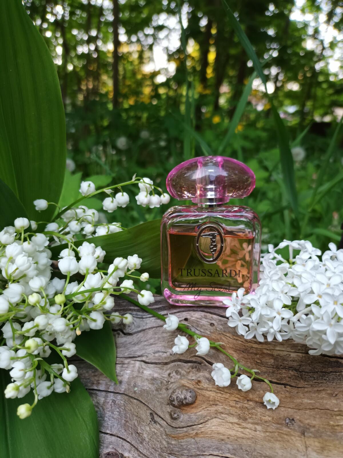 My Scent Trussardi perfume - a fragrance for women 2015