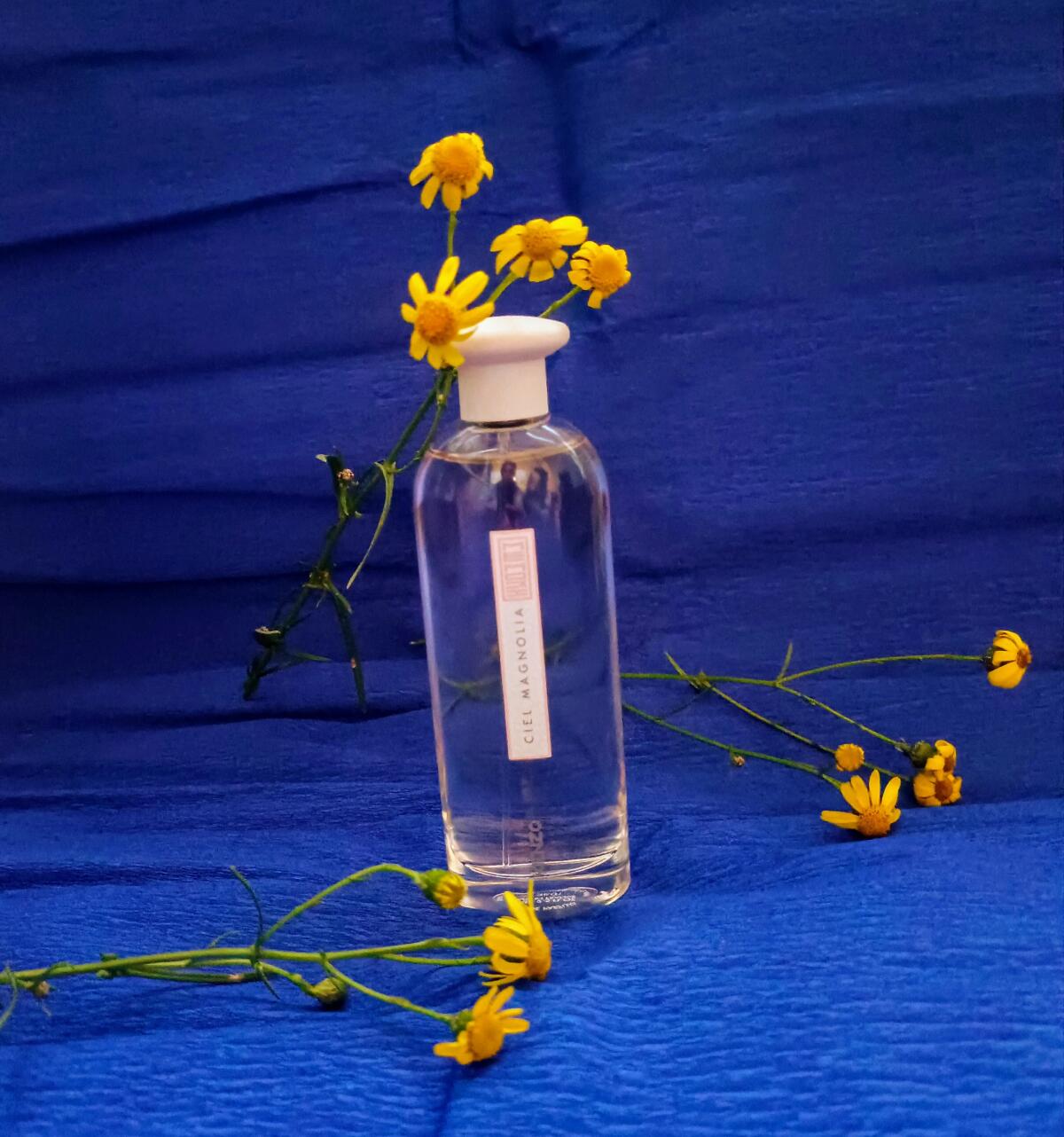 Ciel Magnolia Kenzo Parfum - ein neues Parfum für Frauen 2022