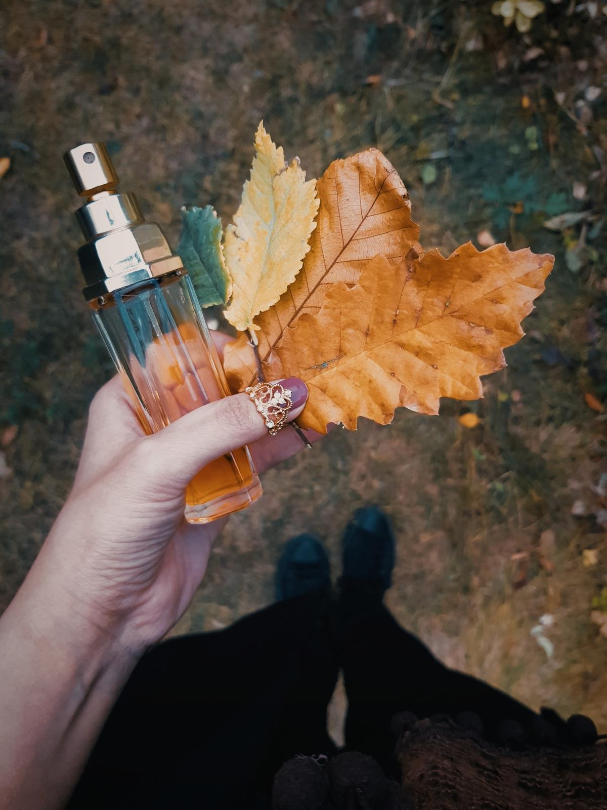 Angelfire Mary Kay perfume a fragrance for women 1977