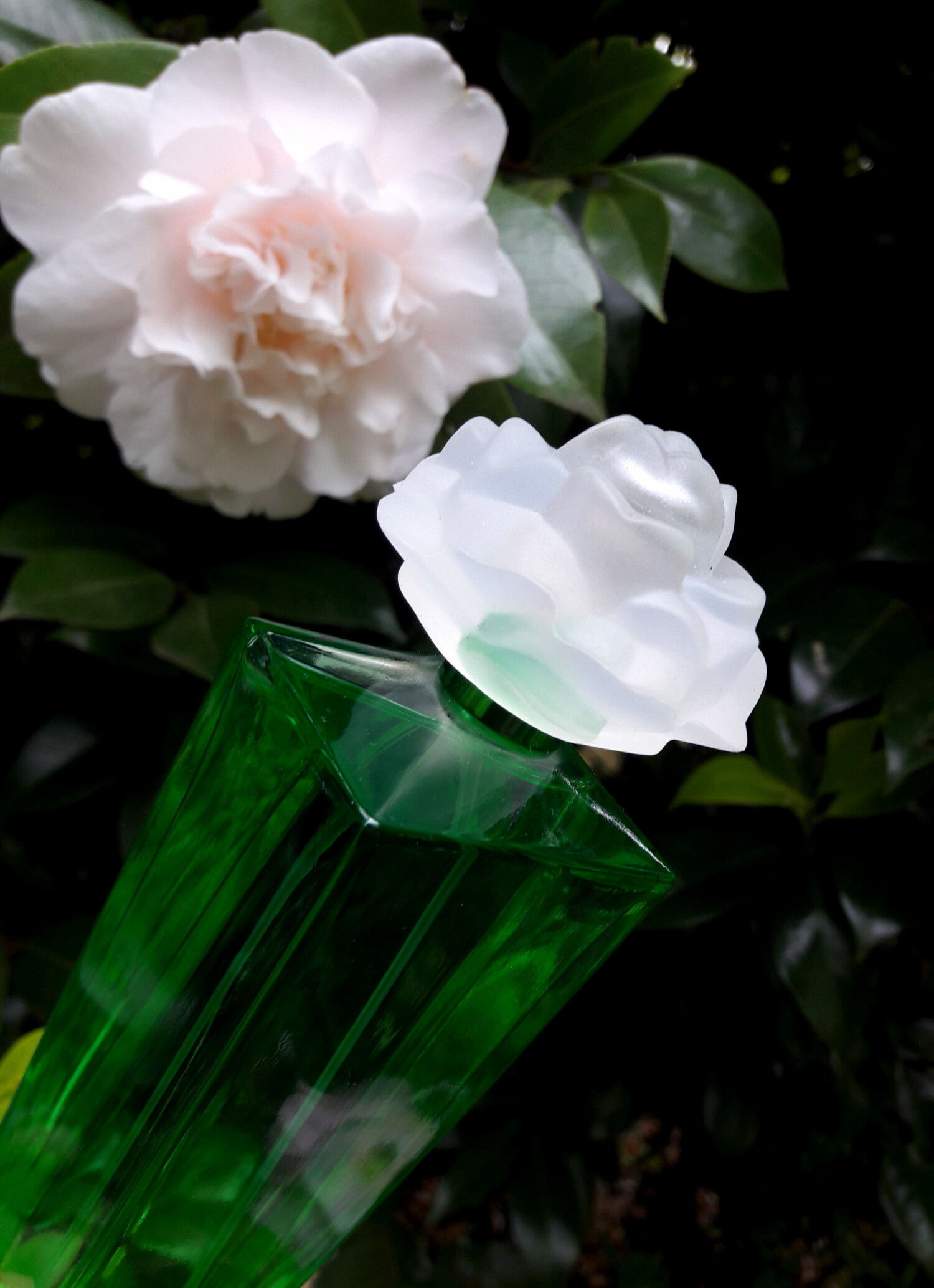 Gardenia by Elizabeth Taylor, 3.3 oz Eau De Parfum Spray for Women