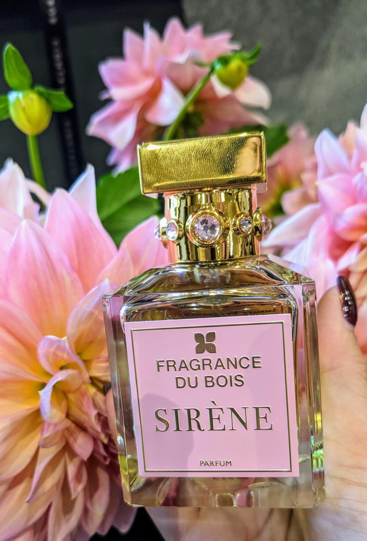 Sirène Fragrance Du Bois аромат — новый аромат для женщин 2024