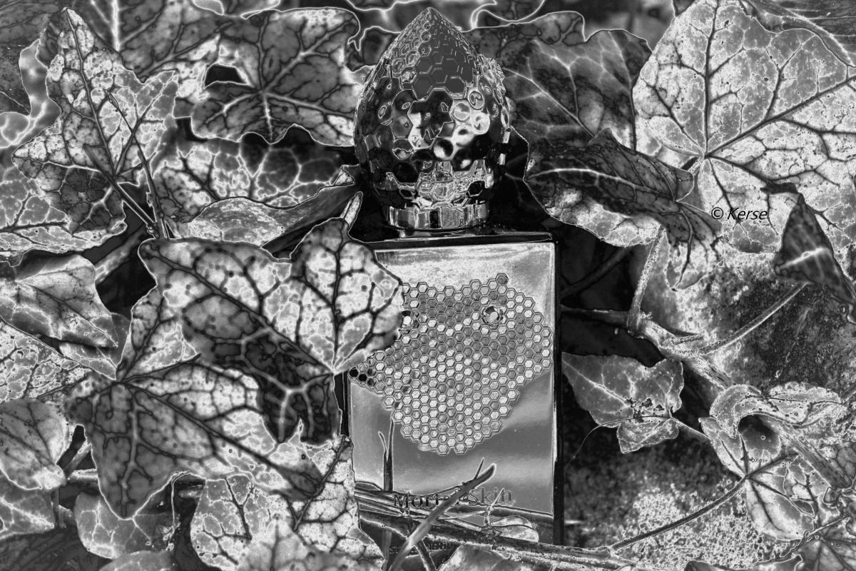 Mortal Skin Stéphane Humbert Lucas 777 perfume - a fragrance for women ...