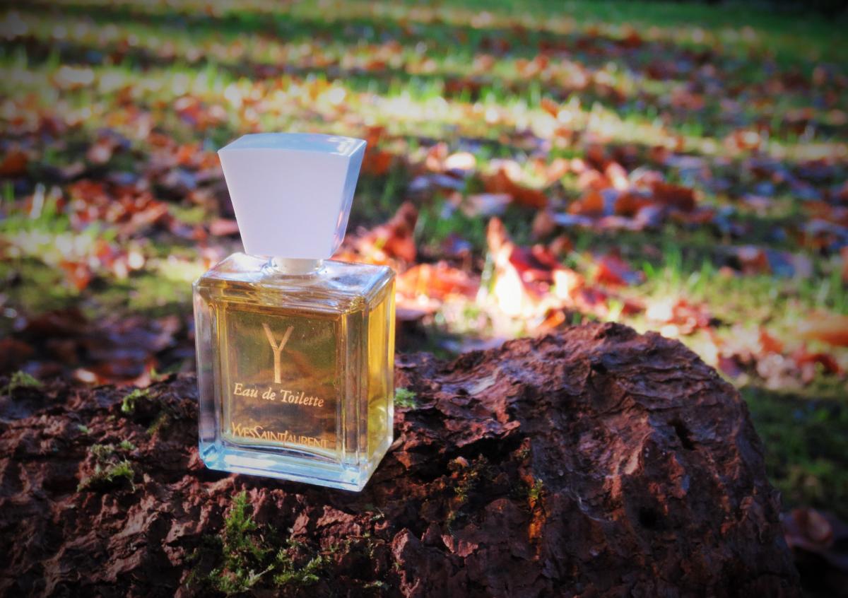 Y Yves Saint Laurent perfume a fragrance for women 1964 Y Yves Saint Laurent perfume a fragrance for women 1964