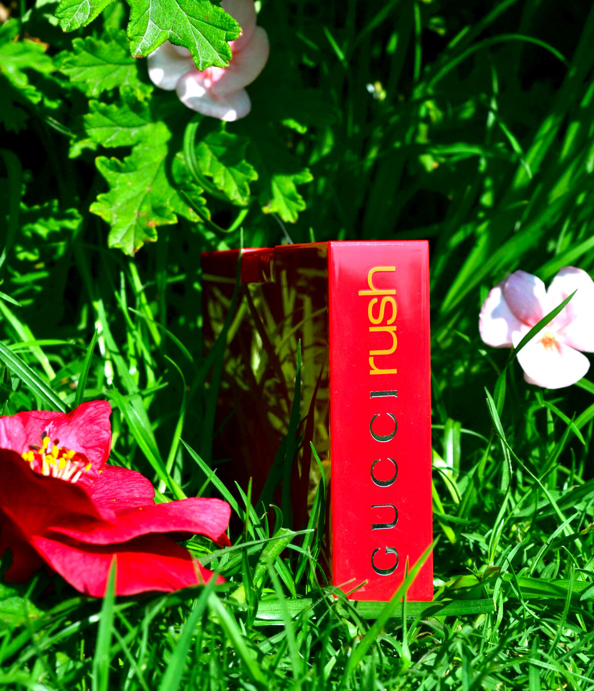 Gucci Rush Gucci άρωμα - ένα άρωμα για γυναίκες 1999