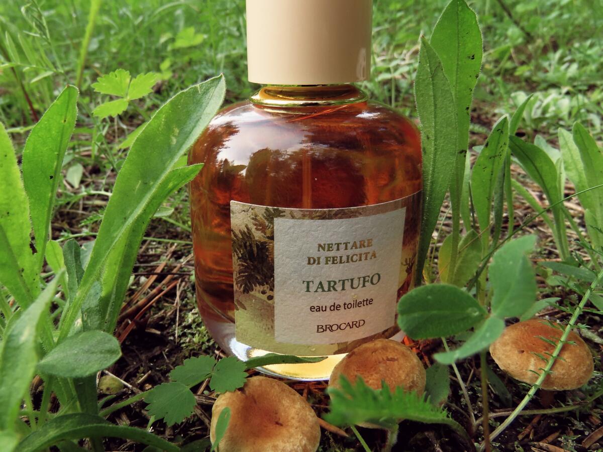Tartufo Brocard perfume - a new fragrance for women and men 2022