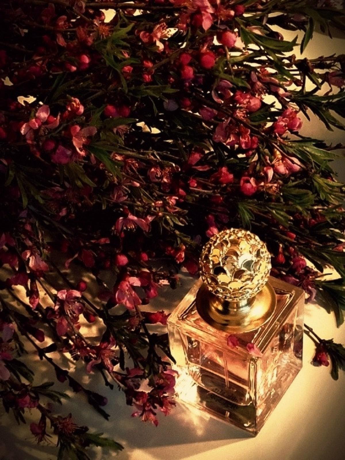 Paradise Oriflame perfume - a fragrance for women 2011