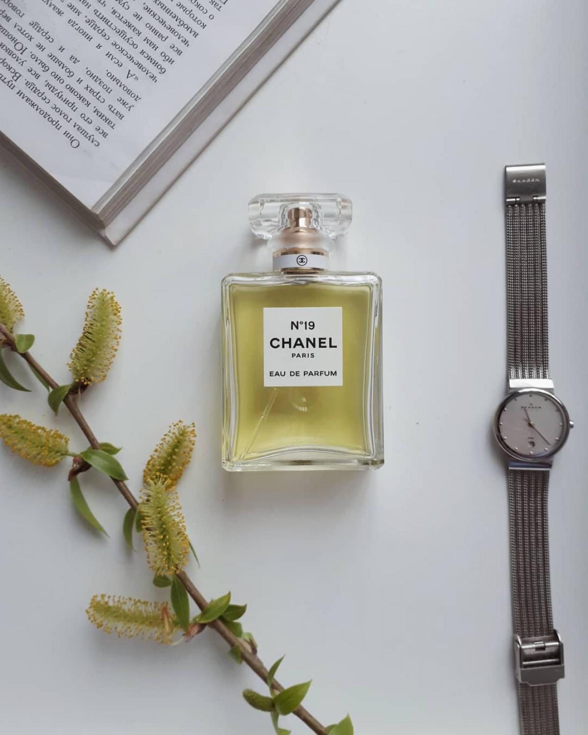 chanel-no-19-eau-de-parfum-chanel-perfume-a-fragrance-for-women