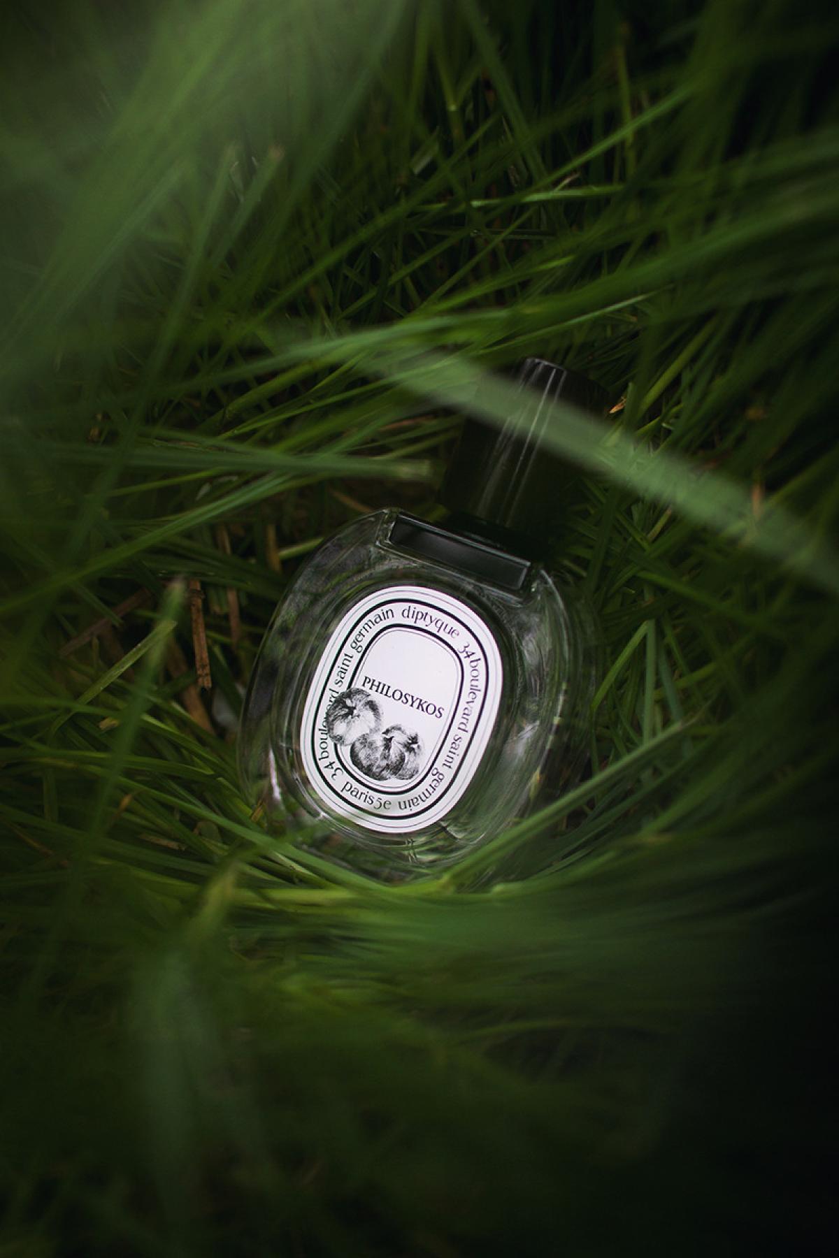Philosykos Eau de Toilette Diptyque perfume - a fragrance for women and ...