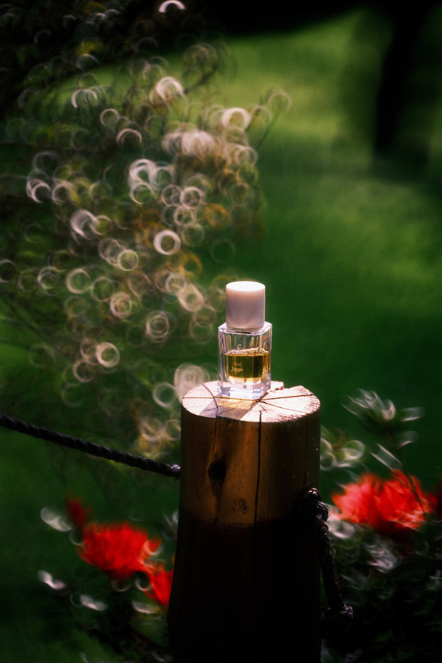 Oud Jungle Fueguia 1833 perfume - a fragrance for women and men 2022