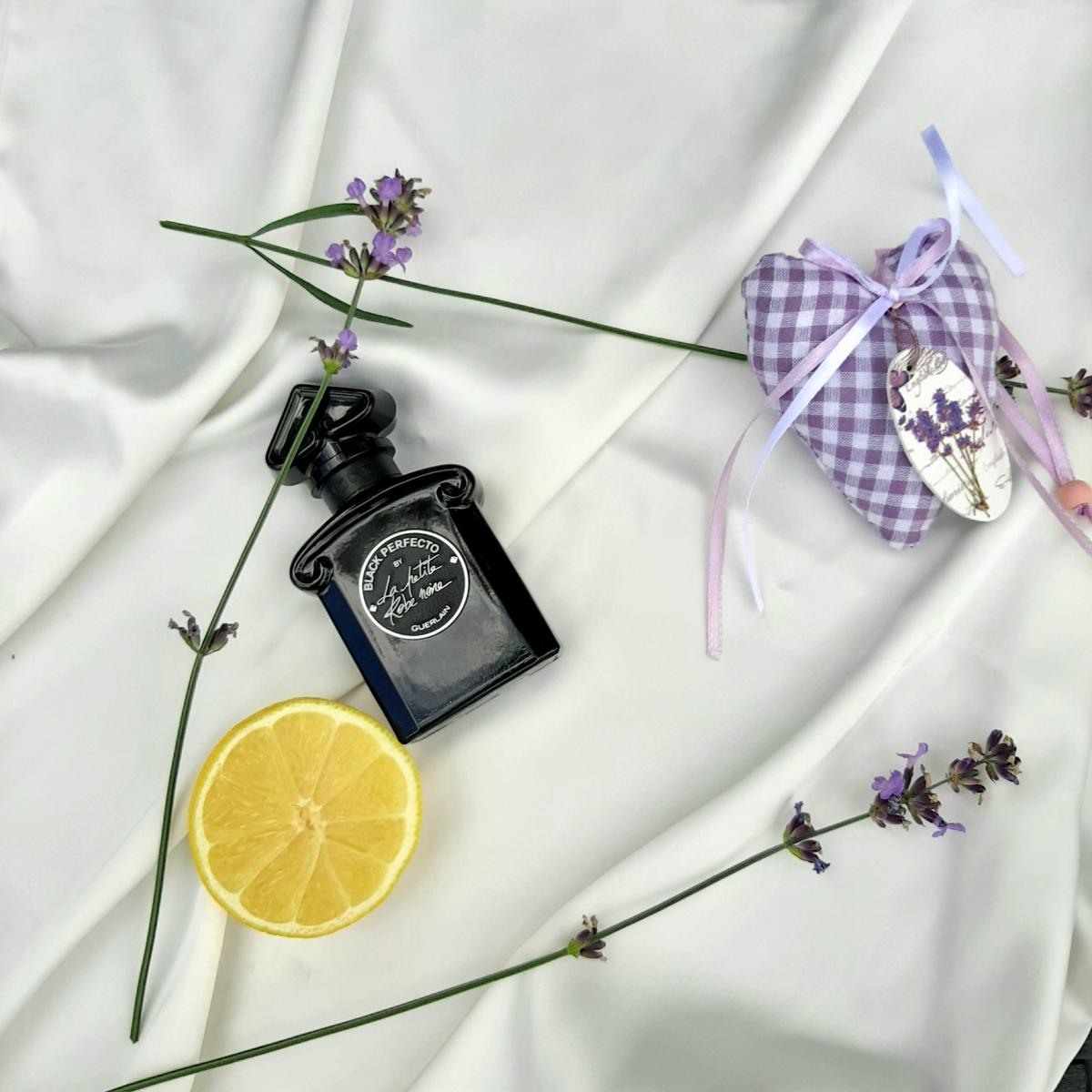 parfum la petite robe noire black perfecto