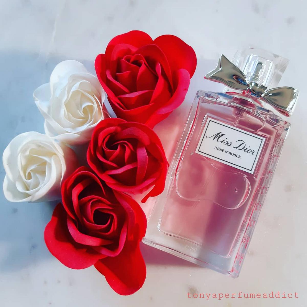 Miss Dior Rose N'Roses Christian Dior parfum - un nouveau parfum pour ...