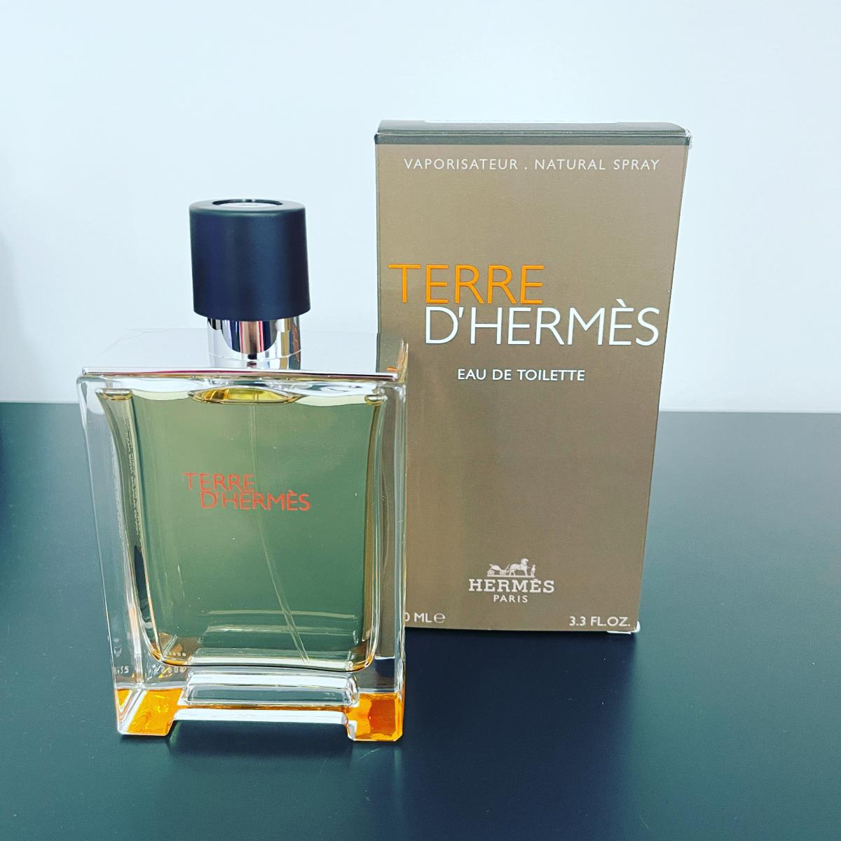 Terre d'Hermes Hermès cologne - a fragrance for men 2006