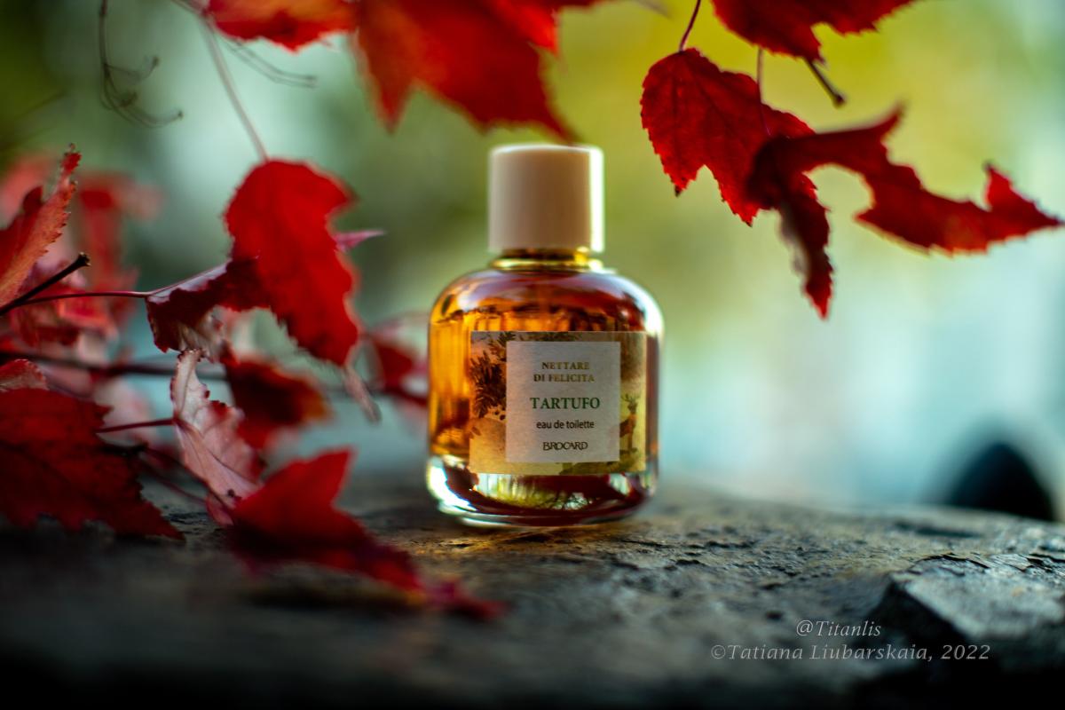 Tartufo Brocard perfume - a new fragrance for women and men 2022