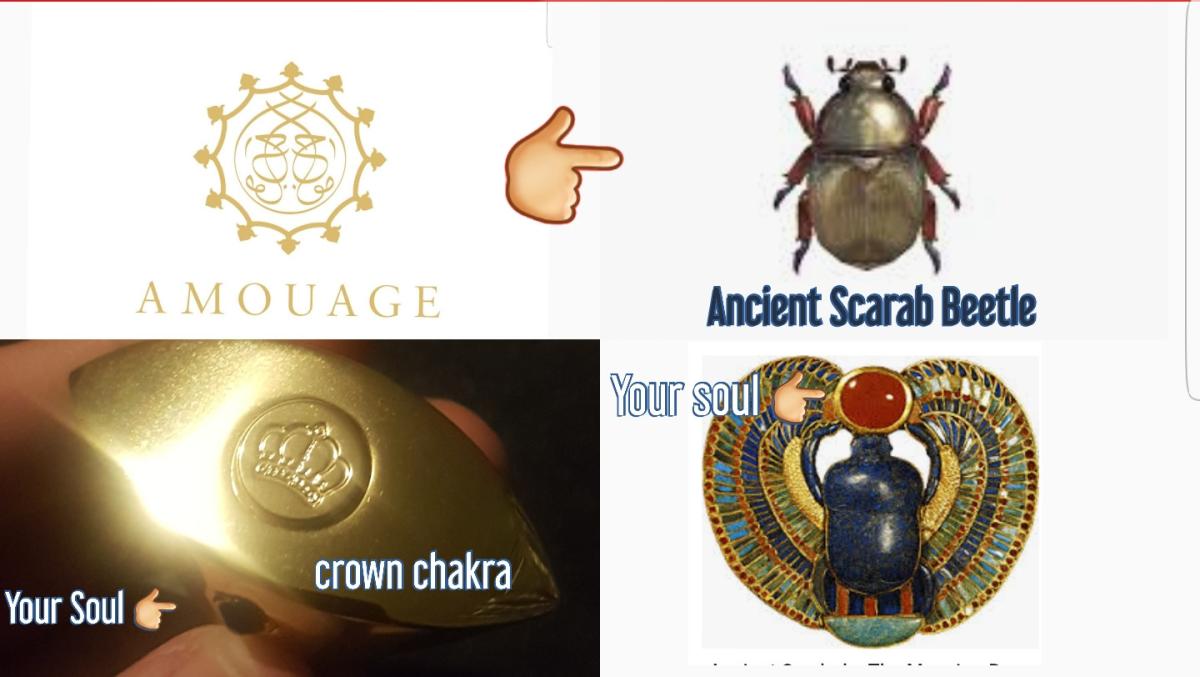 SalivatingSoul stice Decoding Amouage logo and symbolism