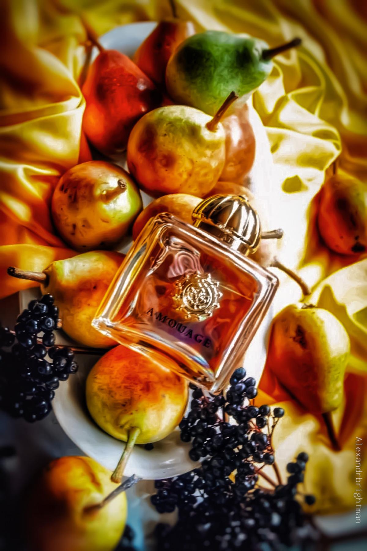 Portrayal Woman Amouage perfume - a fragrance for women 2019