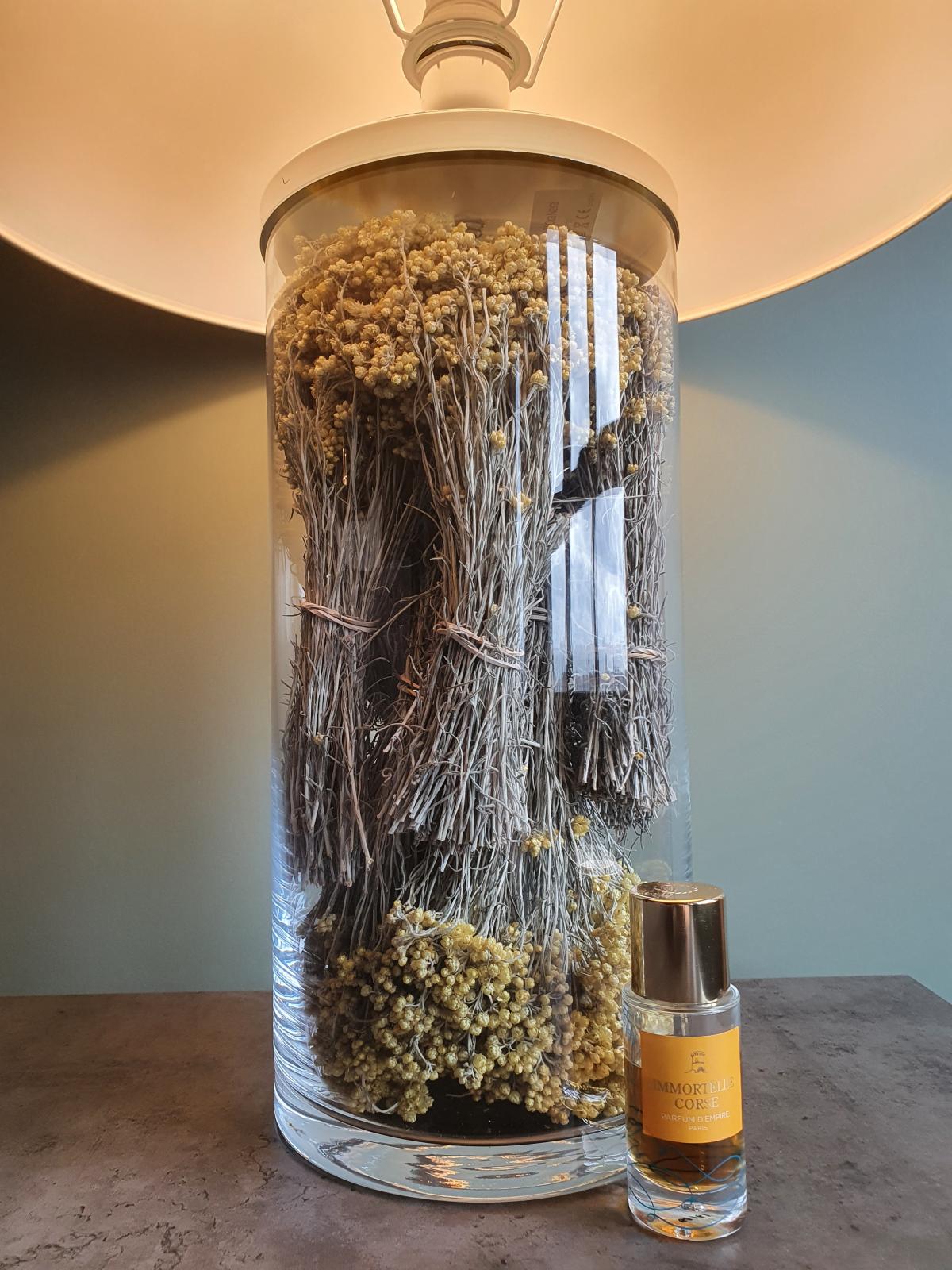 Immortelle Corse Parfum d'Empire perfume - a new fragrance for women