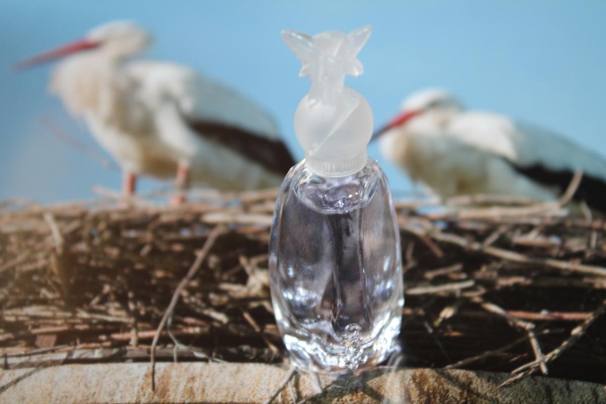 Lucky Wish Anna Sui perfume - a fragrance for women 2016