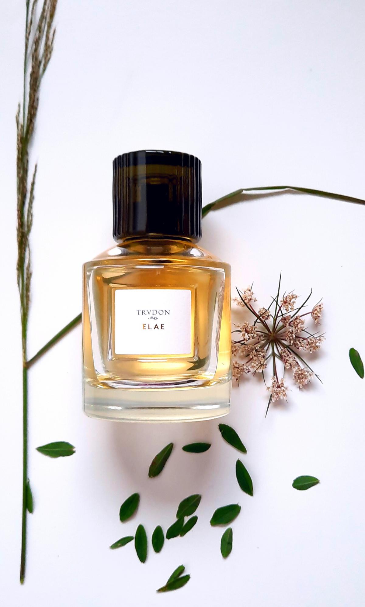 Elae Maison Trudon perfume - a fragrance for women 2019