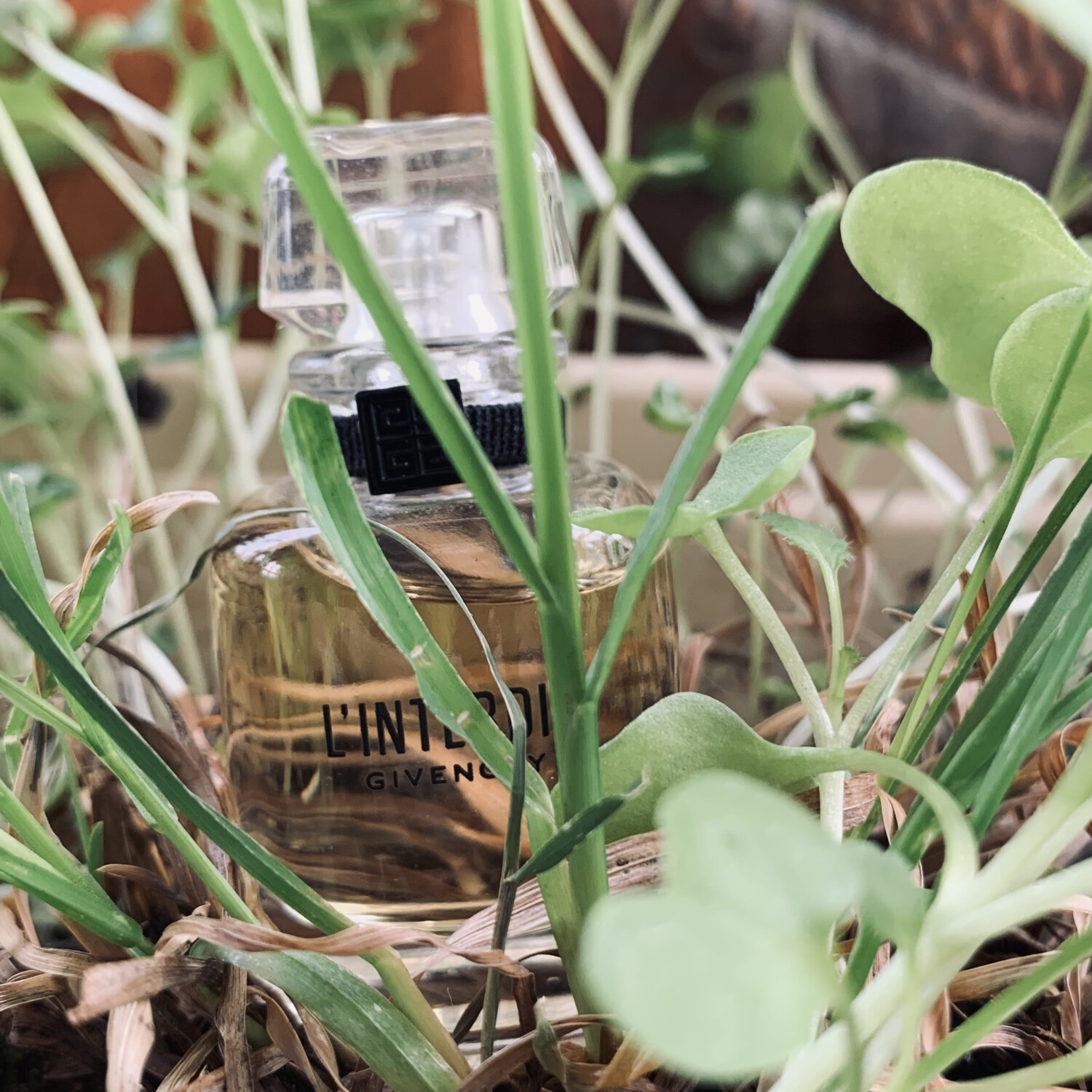 L'Interdit Eau de Parfum Givenchy perfume - a fragrance for women 2018