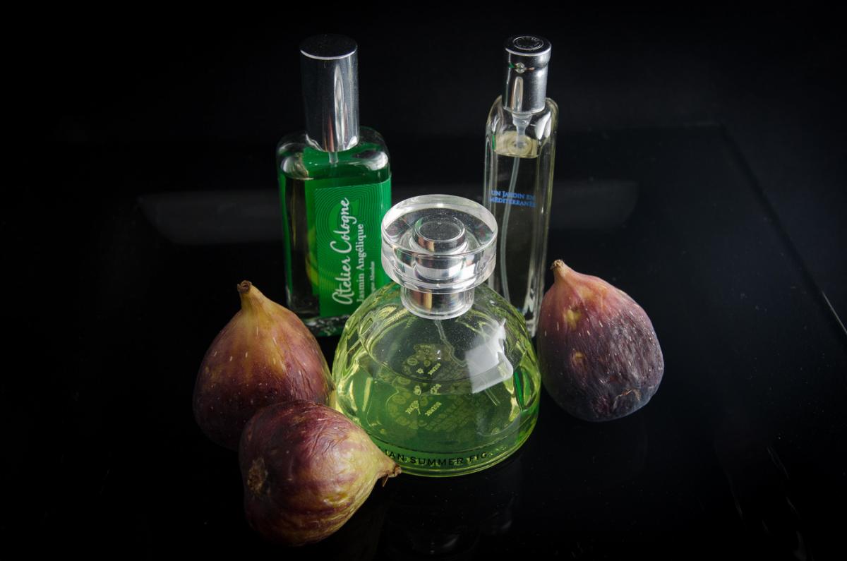 Italian Summer Fig The Body Shop perfume a fragrance for women and