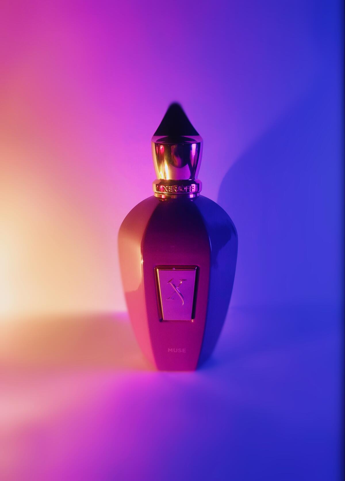 Muse Xerjoff perfume - a fragrance for women and men 2019