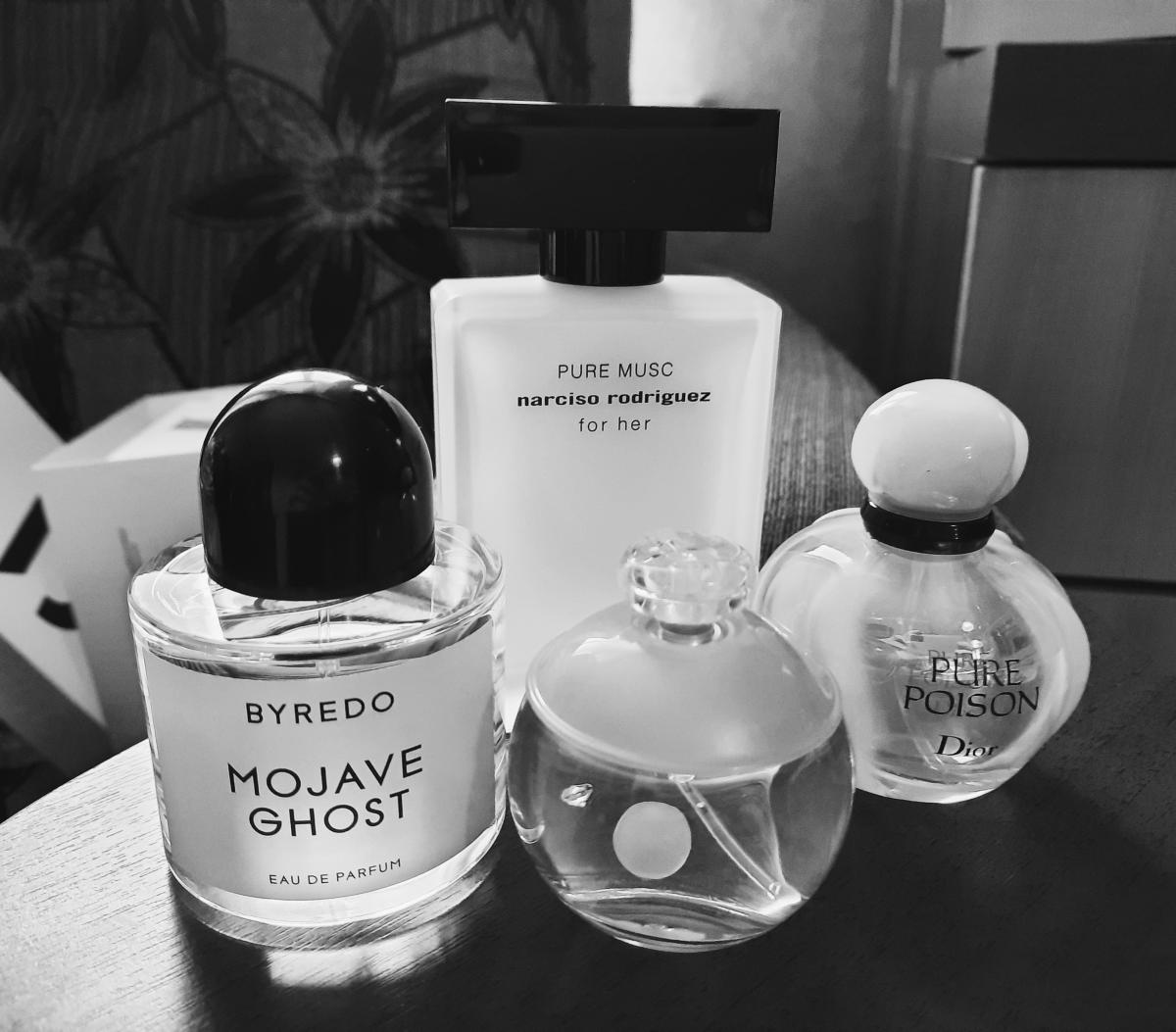 Byredo Mojave Ghost. Must have духи. Must have White Tee Фрагрантика. Must have White Tee духи.