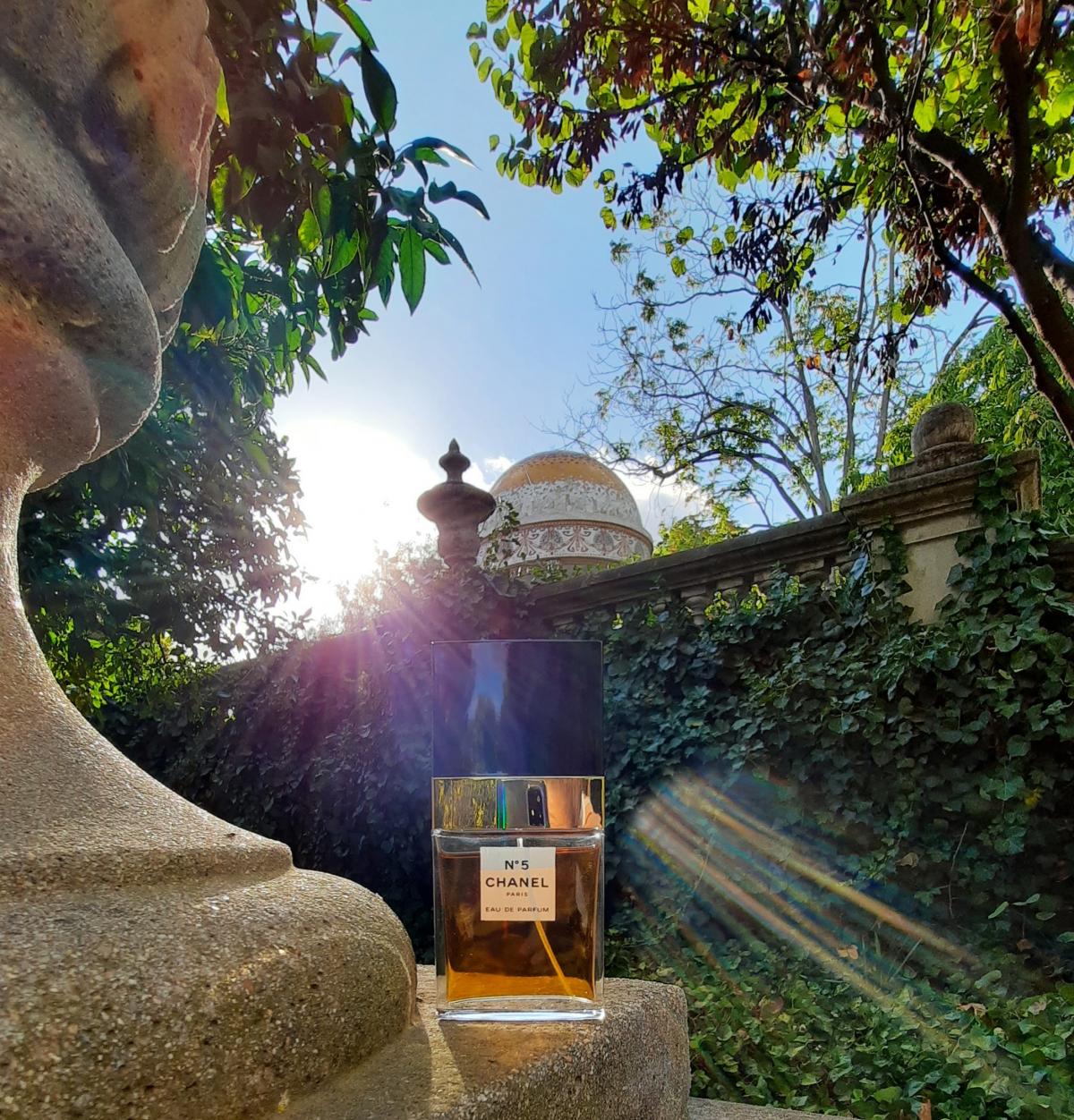 Chanel No 5 Eau de Parfum Chanel аромат — аромат для женщин 1986