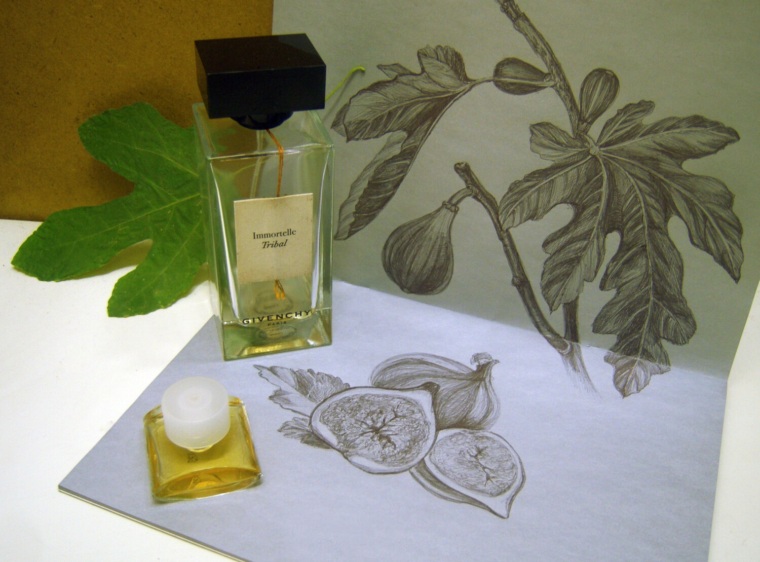 Immortelle Tribal Givenchy perfume - a fragrance for women and men 2015