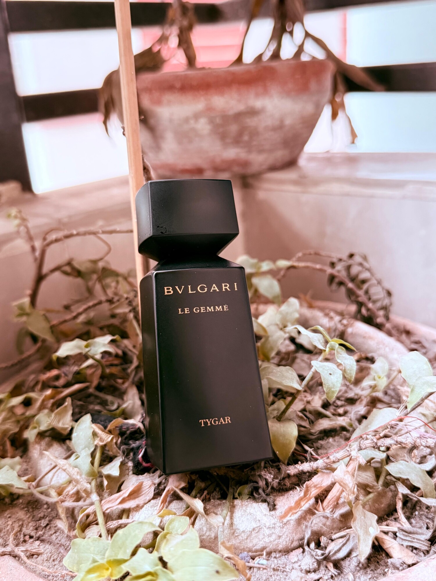 Tygar Tygar Bvlgari cologne - a fragrance for men 2016