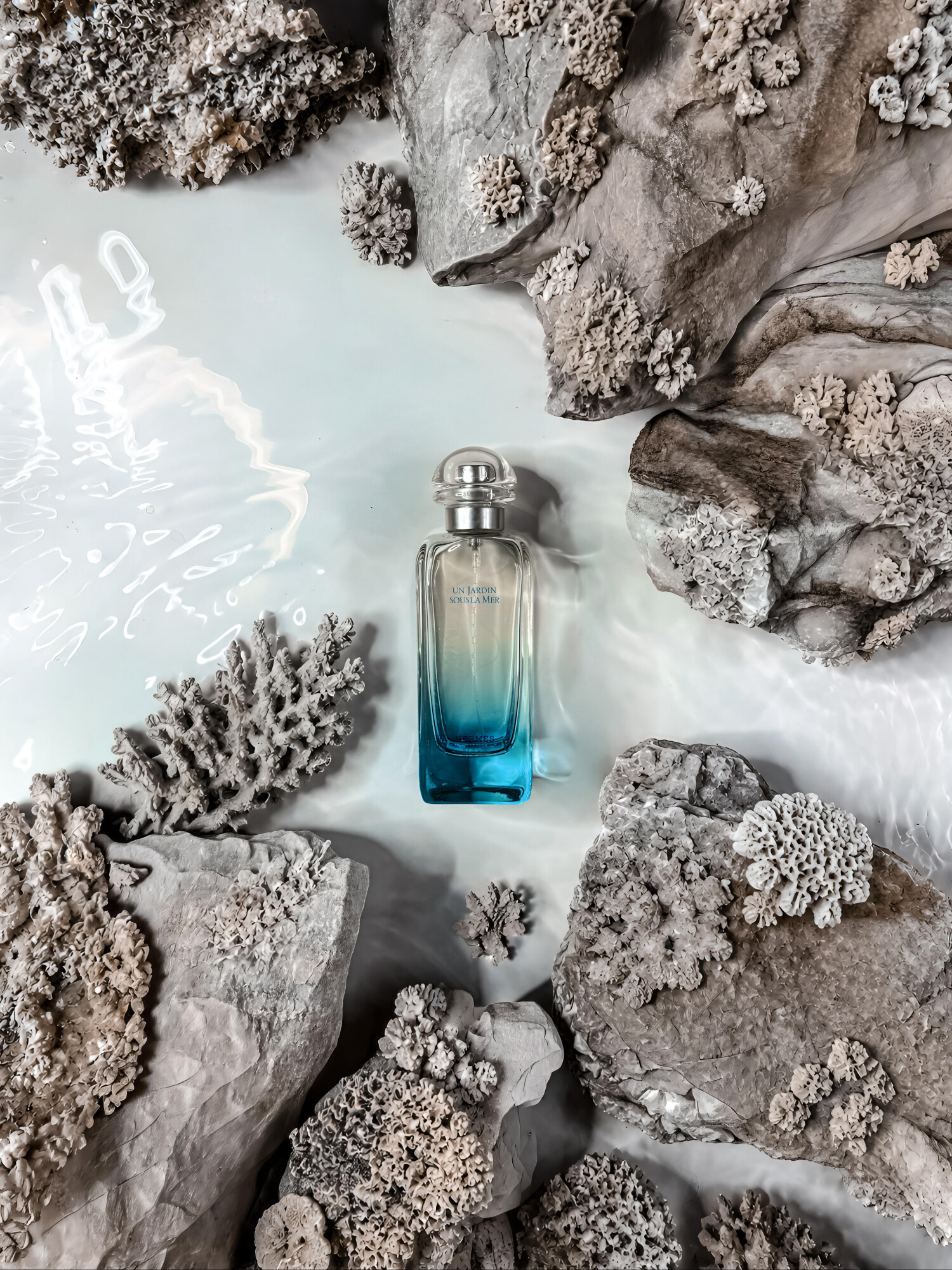 Un Jardin Sous la Mer Hermès 향수 - 2026년 남녀공용 신규 향수