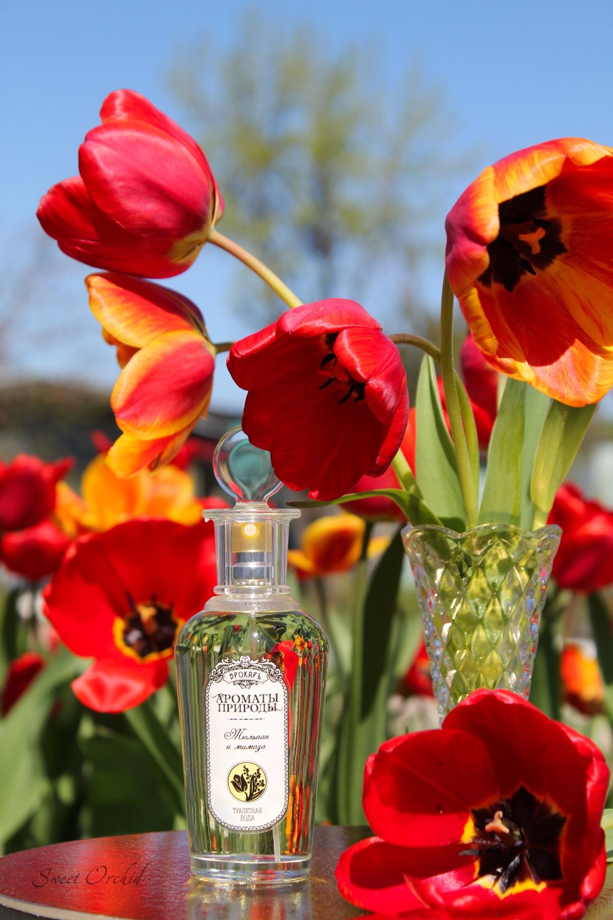 Тюльпан и мимоза - Tulip and Mimosa Brocard аромат — аромат для женщин 2018