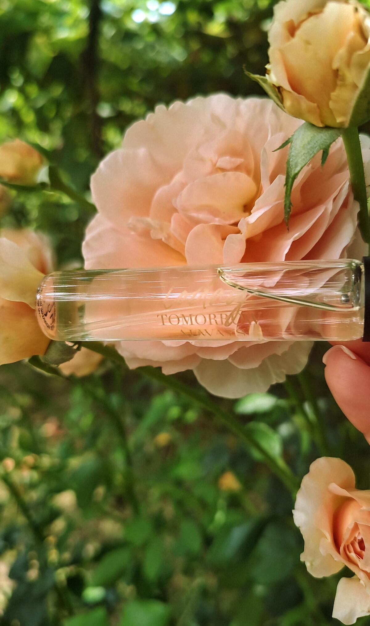 Today Tomorrow Always Wonder Avon Perfume A New Fragrance For Women 2023 today-tomorrow-always-wonder-avon-perfume-a-new-fragrance-for-women-2023