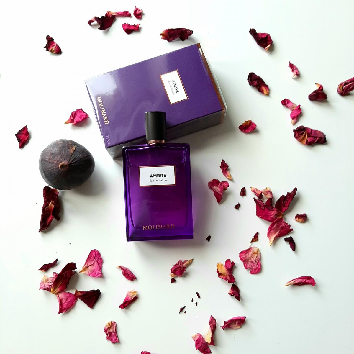 Ambre Eau de Parfum Molinard аромат — аромат для мужчин и женщин 2015