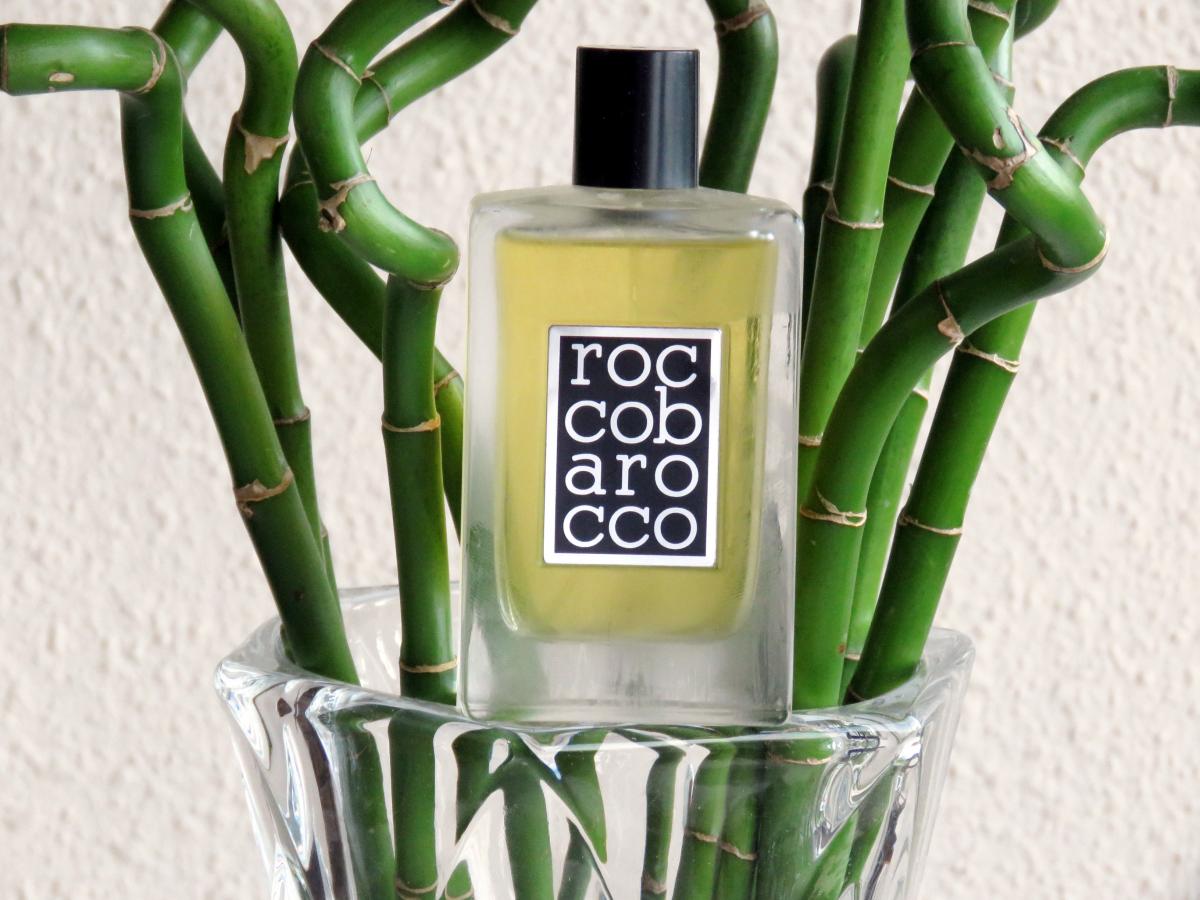 Extraordinary for Men Roccobarocco cologne - a fragrance for men 2000