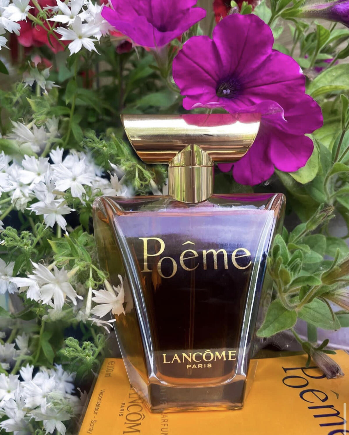 Poeme Lancôme Parfum - ein es Parfum für Frauen 1995