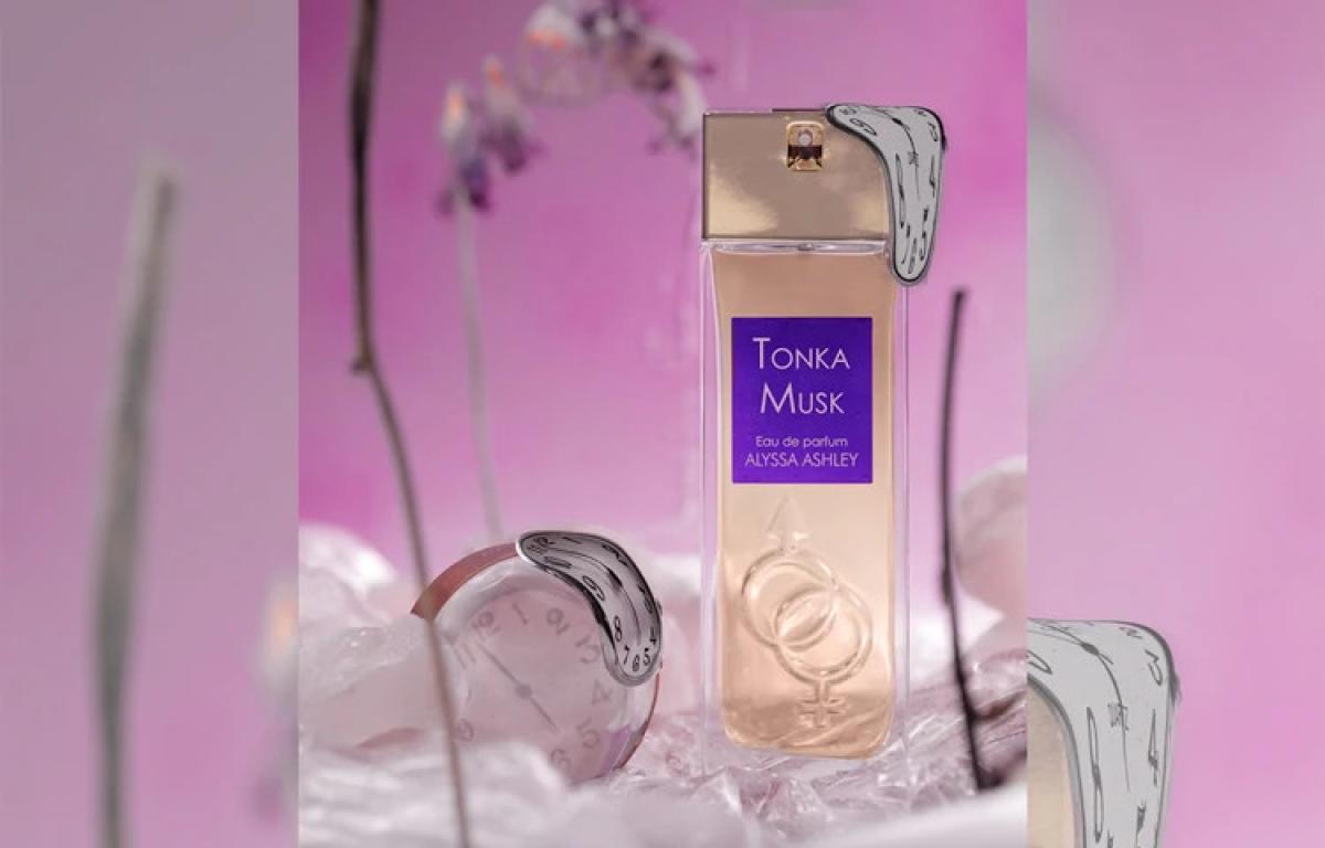 Тонка и мускус. Тонка и мускус. Бобы тонка. Alyssa ashley. Uso creation musk tonka bean.