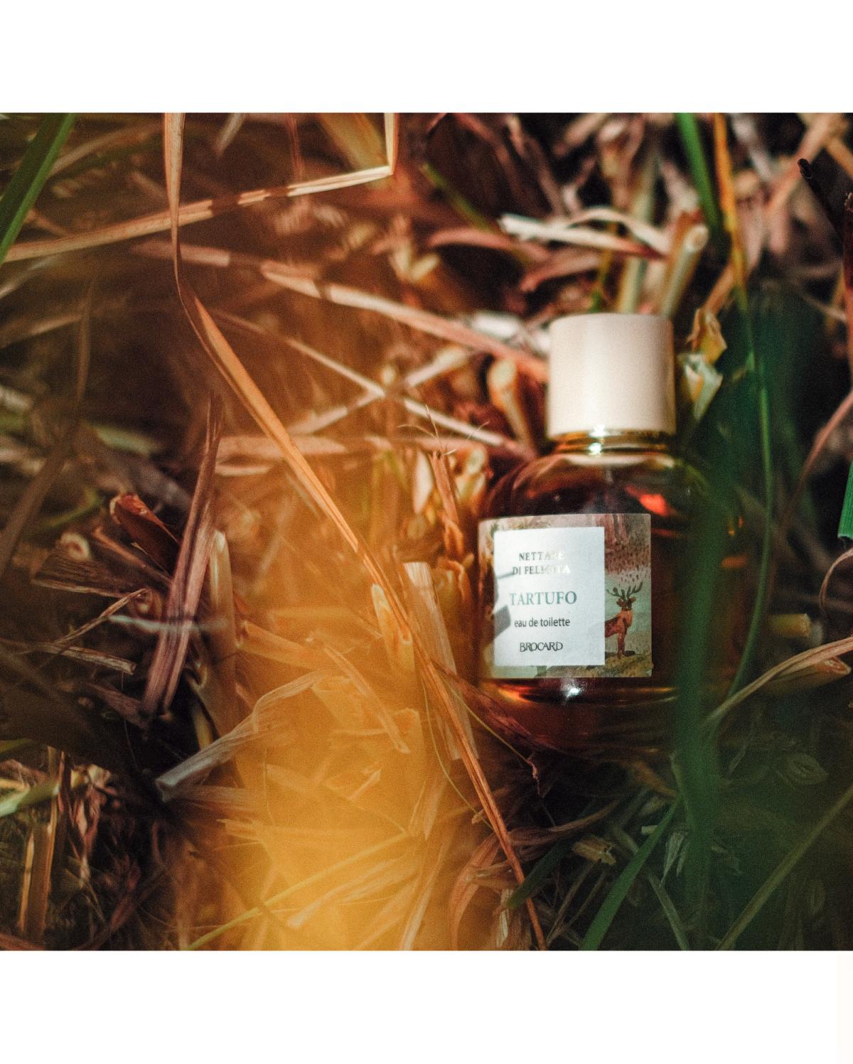 Tartufo Brocard perfume - a new fragrance for women and men 2022