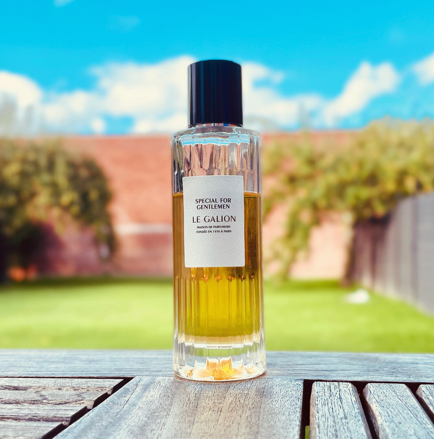 Le Galion Aesthete Homme Eau De Parfum – 100 Ml, Eleganter Duft Mit Ledernote, Mandarine, Safran & Sandelholz