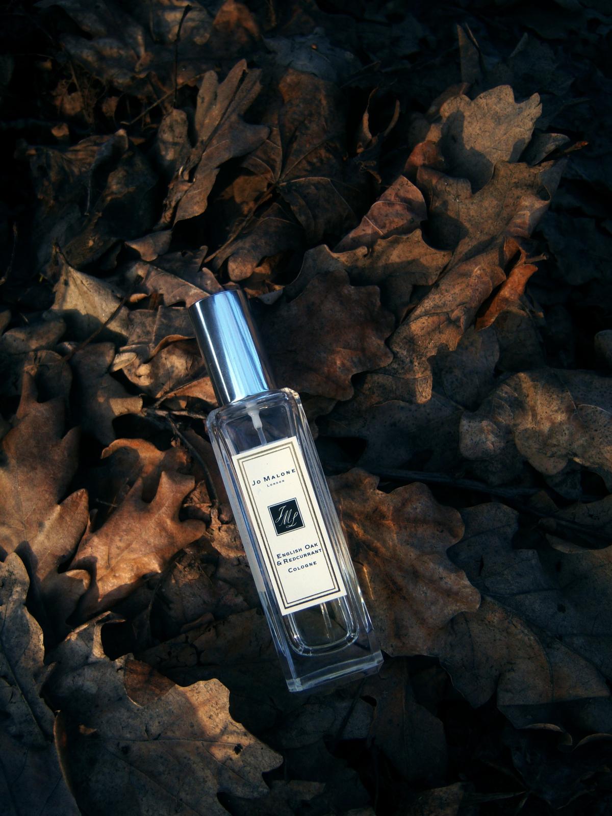 English Oak & Redcurrant Jo Malone London perfume - a fragrance for ...