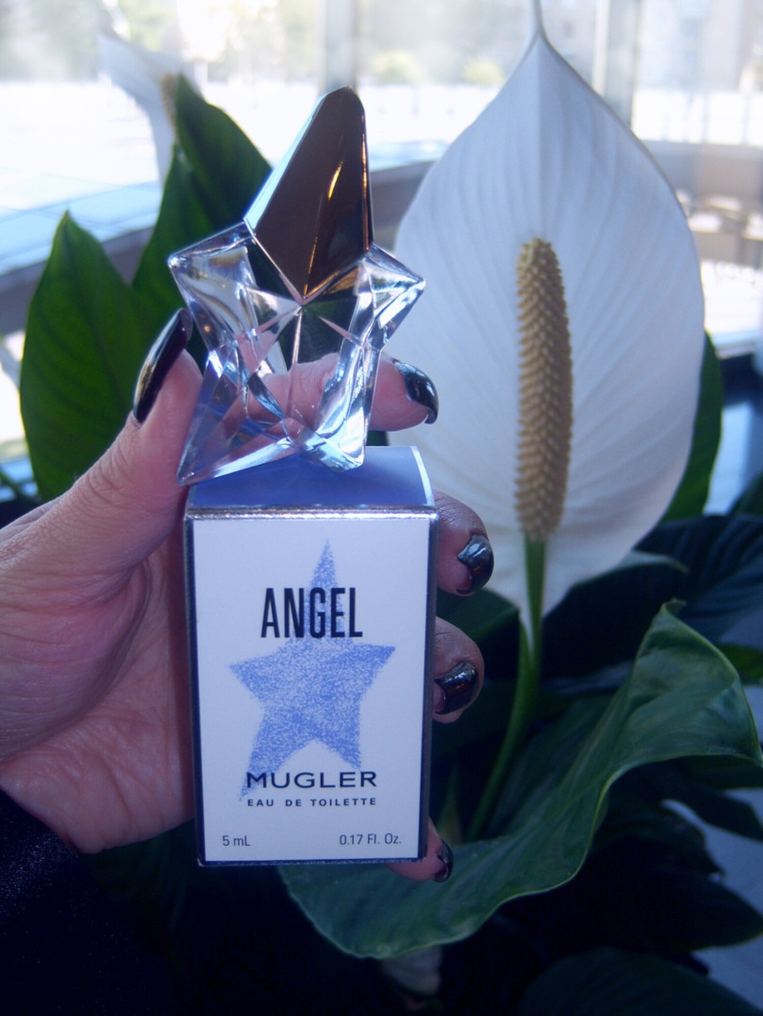 Angel Eau de Toilette (2019) Mugler perfume - a new fragrance for women ...