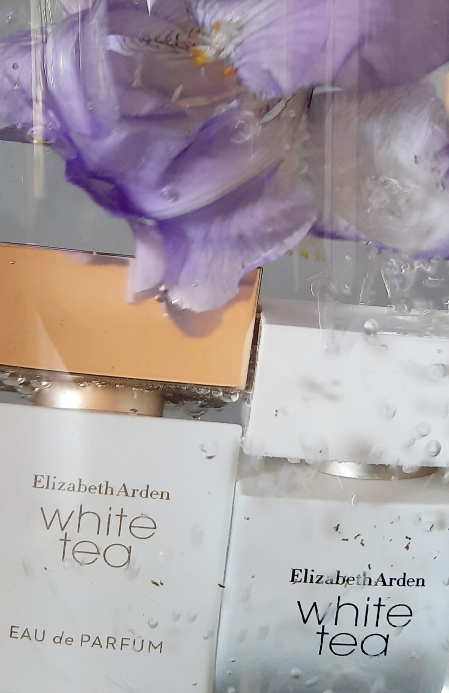 Whit Tea Prrfume Note White Tea Eau de Parfum Elizabeth Arden perfume - a fragrance for women ...