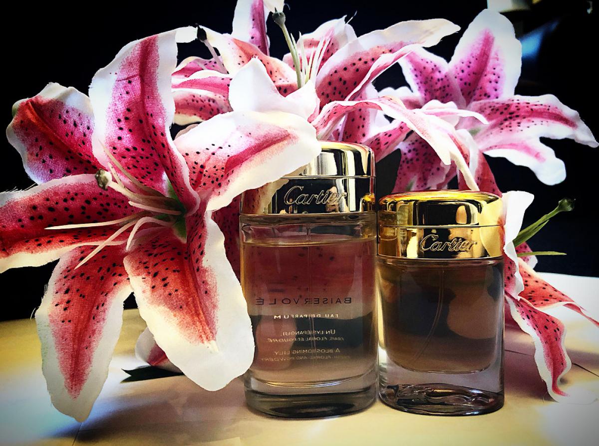 essence de paradis cartier